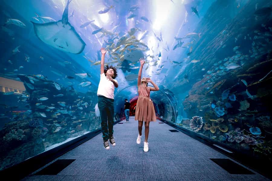 Dubai: Aquarium and Underwater Zoo Experience - How long you should plan to stay