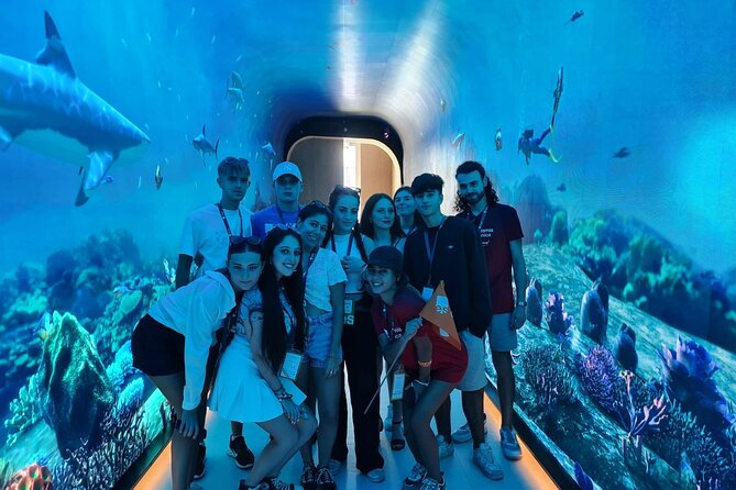Dubai Aquarium And Underwater Zoo Tickets At Dubai Mall - Key points to know before you go