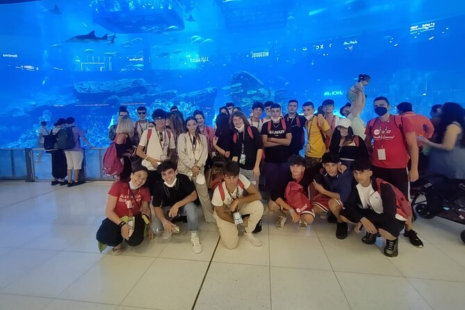 Dubai Aquarium And Underwater Zoo Tickets At Dubai Mall - Why the mall location works so well