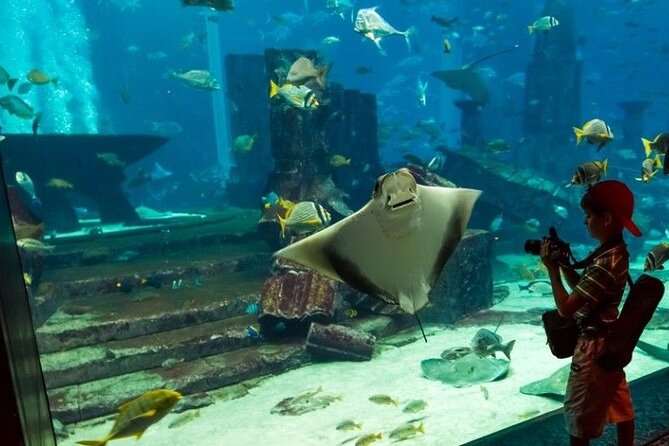Dubai Aquarium and Underwater Zoo with Penguin Cove Tickets. - The Underwater Zoo and its three ecological zones