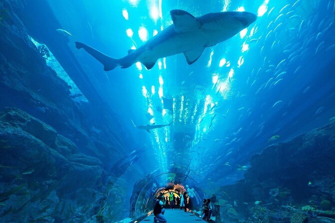 Dubai Aquarium and Underwater Zoo - Three zones with different moods