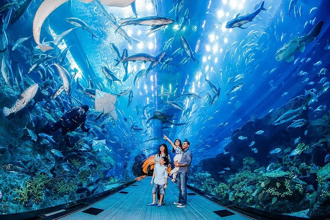 Dubai Aquarium & Level 124 Burj Khalifa Combo - Two Dubai icons in one mall visit