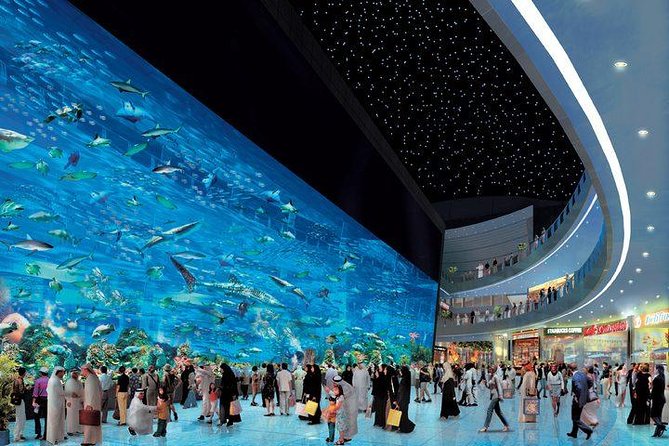 Dubai Aquarium & Level 124 Burj Khalifa Combo - What the mixed scores tell you