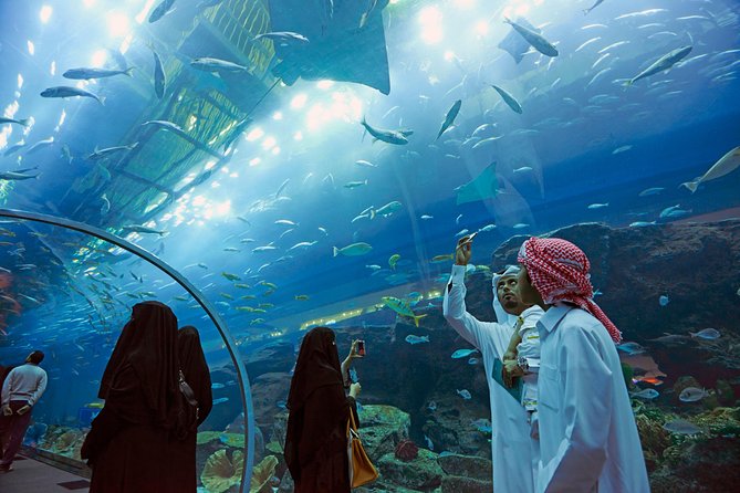 Dubai Aquarium + Penguin Cove Tickets with Transfers - Penguin Cove brings a cold-weather finish