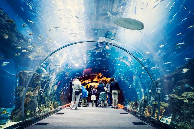 Dubai Aquarium + Penguin Cove Tickets with Transfers - The Underwater Zoo moves from seahorses to crocs
