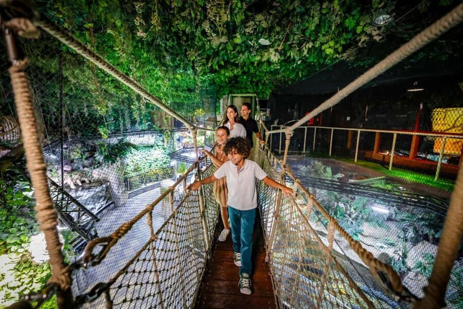 Dubai Aquarium + Sky Views Observatory Tickets - Two attractions, one packed Dubai outing