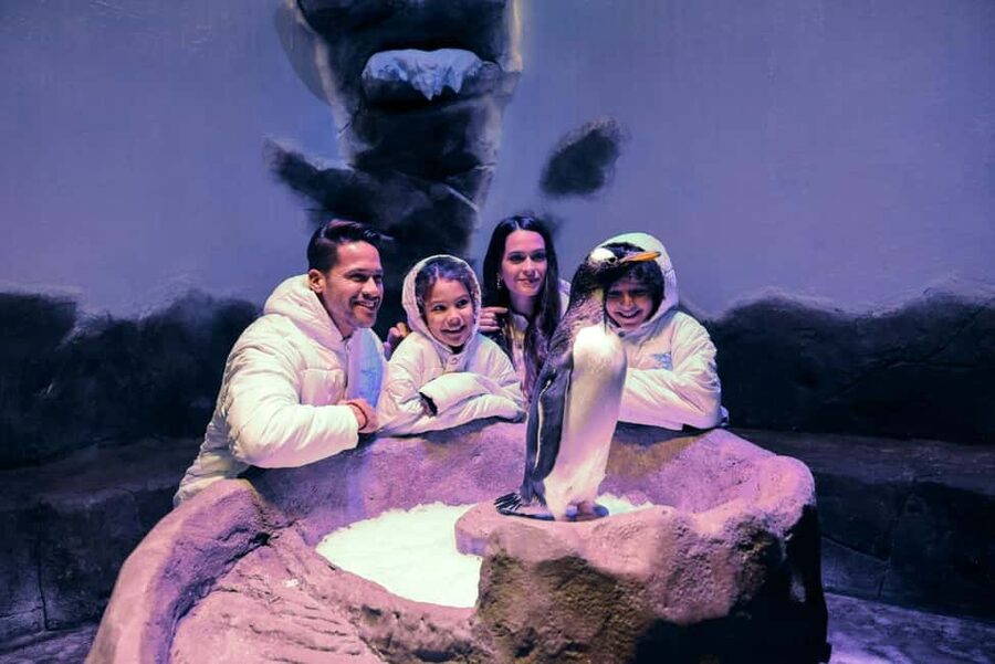 Dubai Aquarium + Sky Views Observatory Tickets - The Glass Walk and Glass Slide