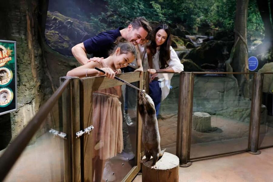 Dubai Aquarium + Sky Views Observatory Tickets - What the July experience suggests about queues
