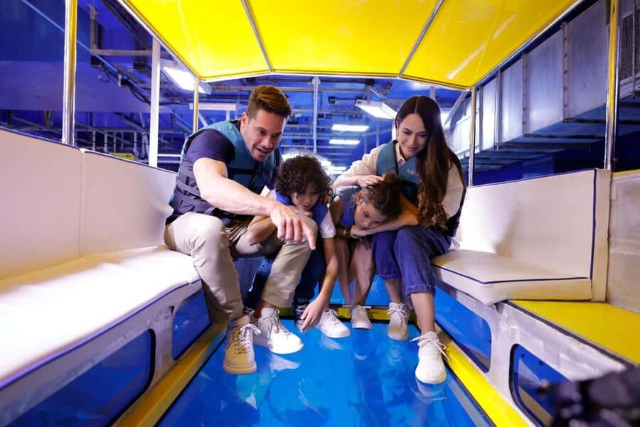 Dubai Aquarium + Sky Views Observatory Tickets - Is $95 a fair price?
