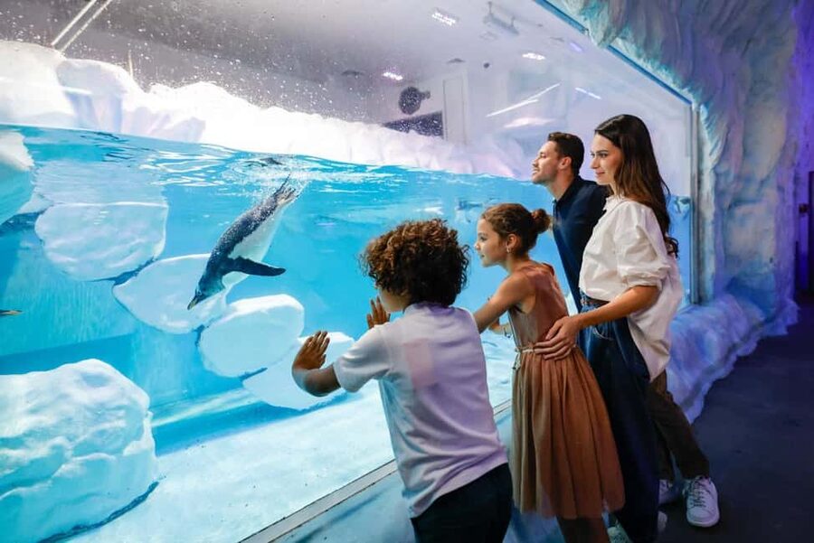Dubai Aquarium + Sky Views Observatory Tickets - How I would plan the visit