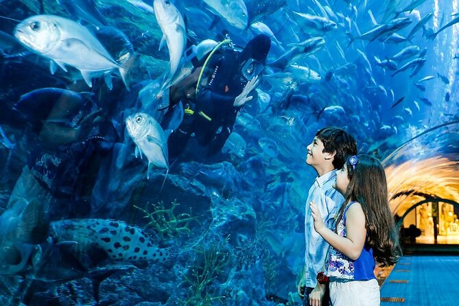 Dubai Aquarium & Underwater Zoo - A huge aquarium inside Dubai Mall