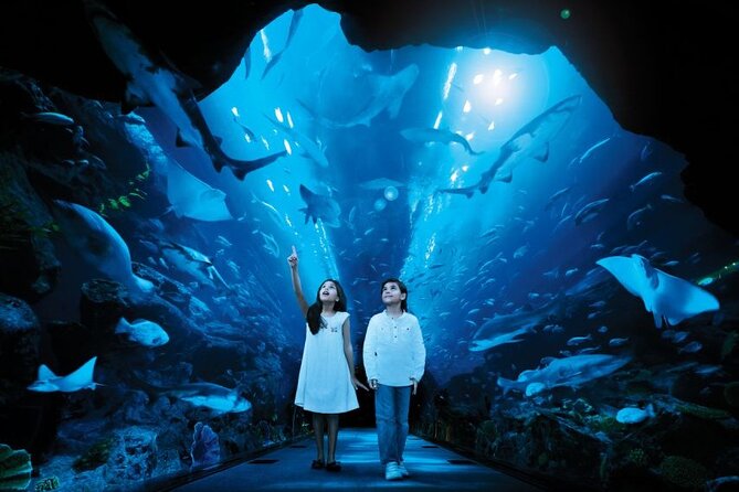 Dubai Aquarium & Underwater Zoo - Beyond the main tank at Underwater Zoo