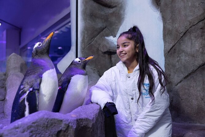Dubai Aquarium & Underwater Zoo - Optional Penguin Cove and behind-the-scenes access