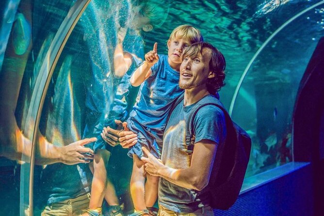 Dubai Aquarium & Underwater Zoo - What the Explorer package adds