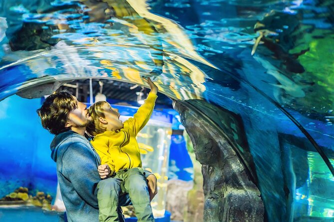 Dubai Aquarium & Underwater Zoo Entrance Ticket - The Ten-Million-Litre Main Aquarium