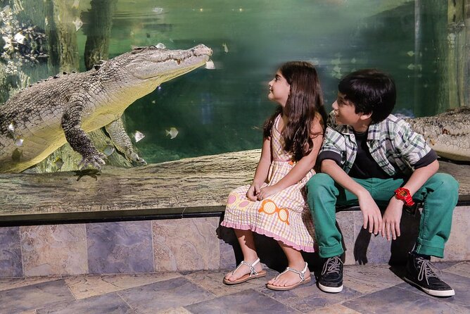 Dubai Aquarium & Underwater Zoo Entrance Ticket - Is the $48 Price Worth It?