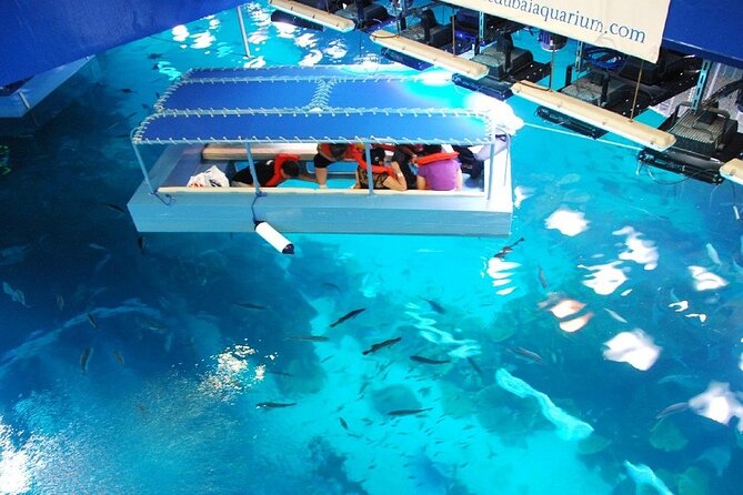 Dubai Aquarium & Underwater Zoo with Penguin Cove - The grand aquarium inside Dubai Mall