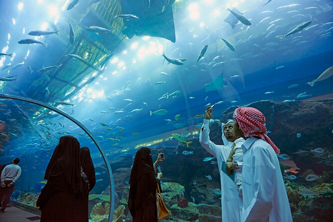 Dubai Aquarium & Underwater Zoo with Penguin Cove - Timing, access, and planning your visit