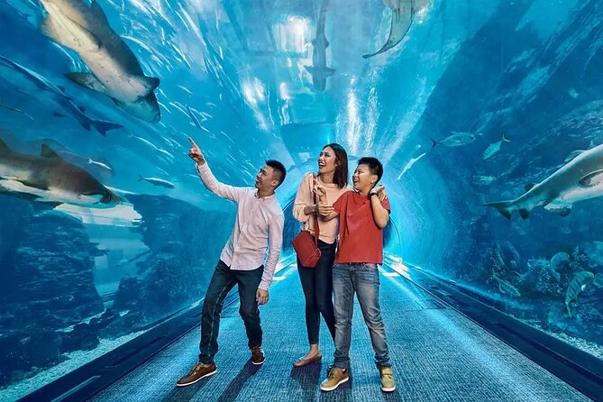 Dubai Aquarium UnderwaterZoo and Penguin cove Admission Ticket - The Giant Aquarium Tank Sets the Scale