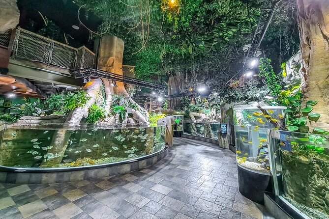 Dubai Aquarium UnderwaterZoo and Penguin cove Admission Ticket - Forty Animal Displays in the Underwater Zoo