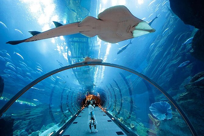 Dubai Aquarium UnderwaterZoo and Penguin cove Admission Ticket - How Long to Allow for the Visit