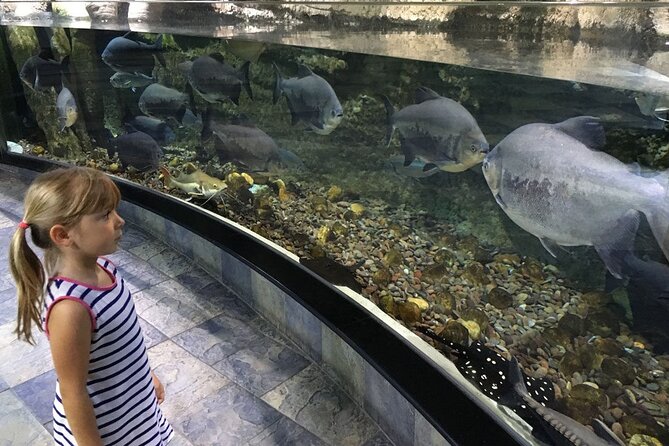 Dubai Aquarium UnderwaterZoo and Penguin cove Admission Ticket - Ticket Delivery Is the Main Practical Risk