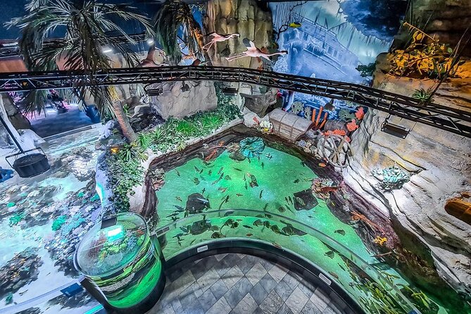 Dubai Aquarium UnderwaterZoo and Penguin cove Admission Ticket - Opening Hours and Getting There