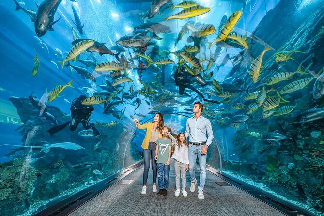 Dubai Aquarium with Various Animal Encounter and Access Options - Key points to know before you go