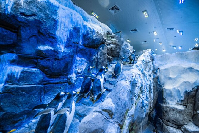 Dubai Aquarium with Various Animal Encounter and Access Options - The aquarium tunnel and the giant tank