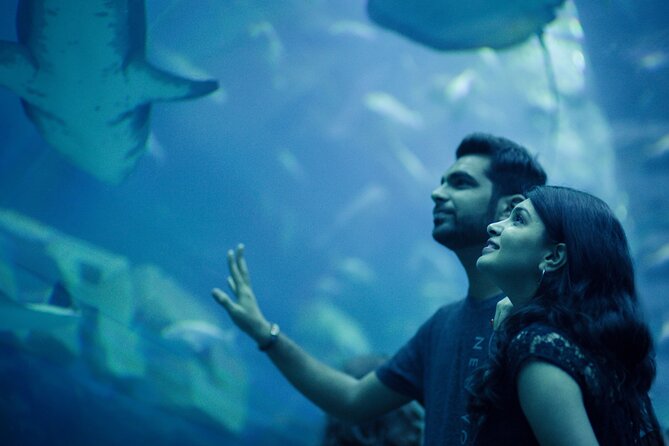 Dubai Aquarium with Various Animal Encounter and Access Options - Should you book the Dubai Aquarium?