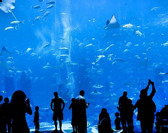 Dubai HOHO Bus Tour, Dhow Cruise & Lost Chambers Aquarium Options - Key points to know before you book