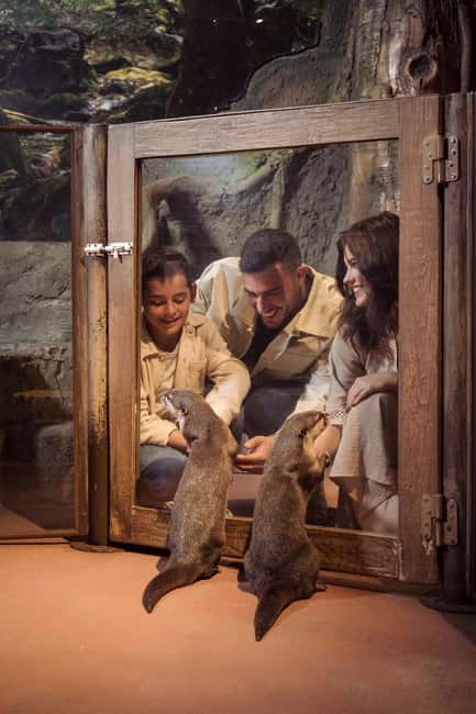 Dubai Iconic Burj Khalifa + Aquarium + Sky Views Ticket - Planning the order of your day