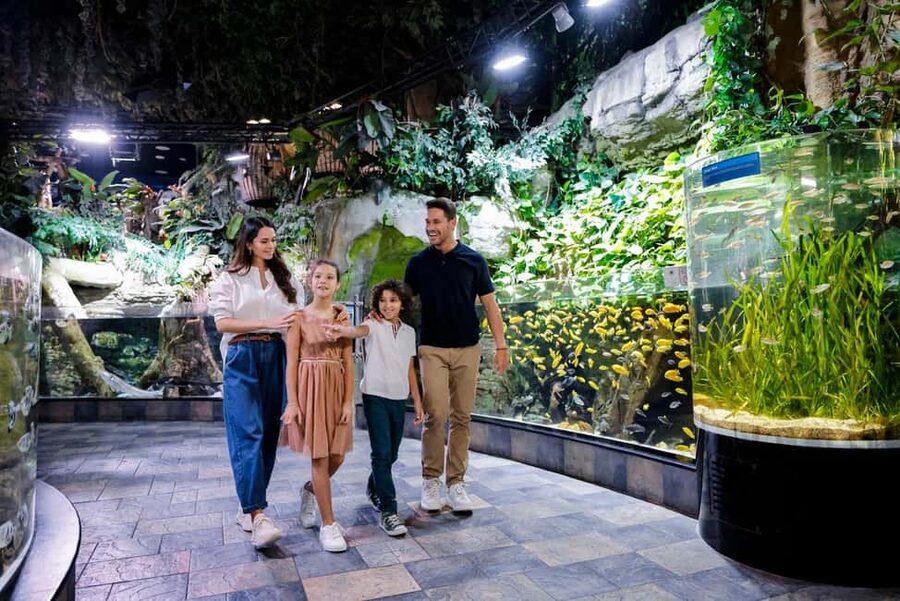 Dubai Iconic Burj Khalifa + Aquarium + Sky Views Ticket - Booking flexibility and useful limits