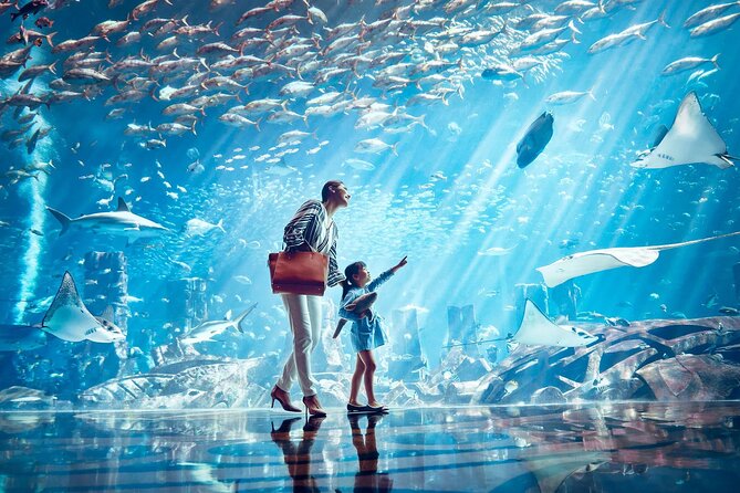 Dubai Lost Chambers Aquarium Admission E-Ticket - Who will enjoy this stop most?