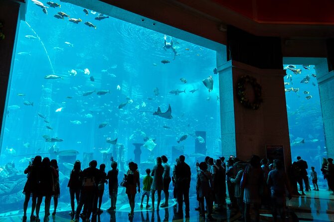 Dubai Lost Chambers Aquarium Admission E-Ticket - Transport, booking, and cancellation details