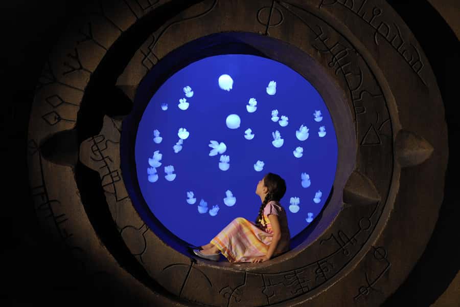 Dubai: Lost Chambers Aquarium Entry Ticket - The Ambassador Lagoon is the main event
