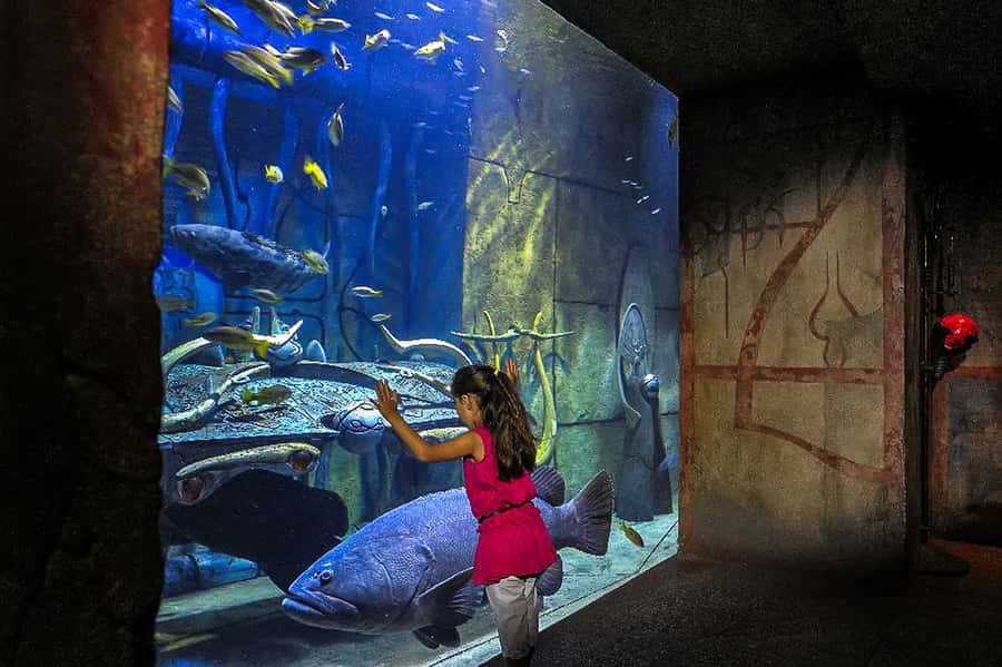 Dubai: Lost Chambers Aquarium Entry Ticket - How long should you allow?