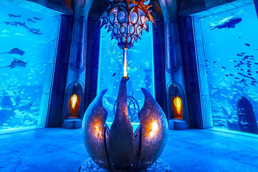 Dubai: Lost Chambers Aquarium Entry Ticket - Food, photos, and the wider Atlantis visit