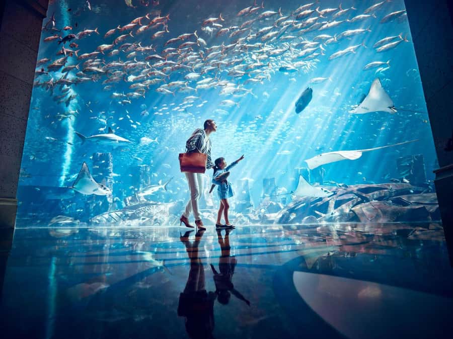 Dubai: Lost Chambers Aquarium Entry Ticket - The 14 chambers and Atlantis theme