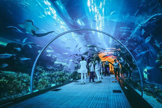 Dubai Mall Aquarium and Underwater Zoo Ticket - Seeing Dubai Mall’s suspended aquarium