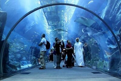 Dubai Mall Aquarium and Underwater Zoo Ticket