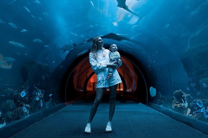 Dubai Mall Aquarium and Underwater Zoo Ticket - Is $69.78 good value?