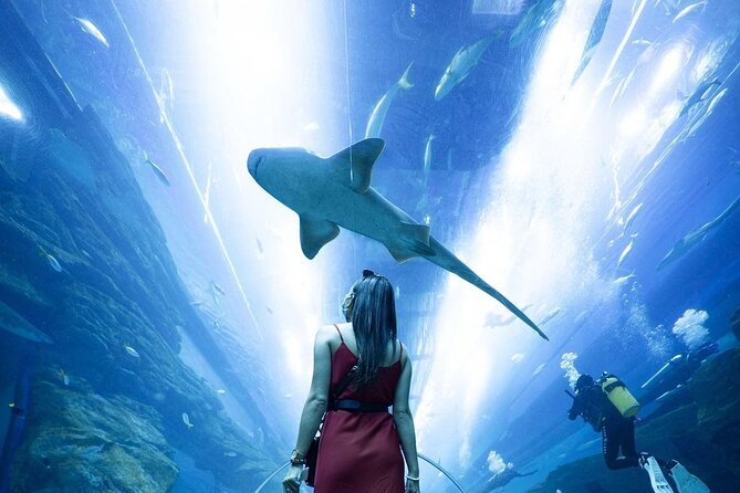 Dubai Mall Aquarium and Underwater Zoo Ticket - Ticket care, timing, and cancellation