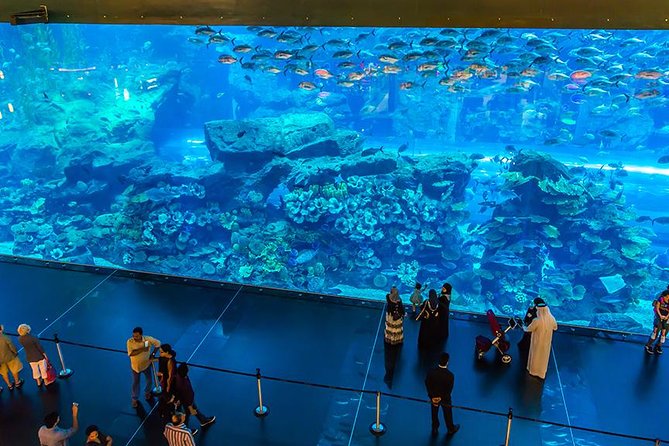 Dubai Mall Aquarium & Underwater Zoo with Penguin Cove Tickets - Penguin Cove and the importance of your ticket type