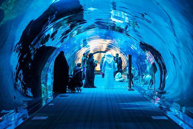 Dubai Mall Aquarium & Underwater Zoo with Penguin Cove Tickets - Is $54.52 good value?