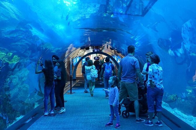 Dubai Mall Aquarium with Penguin Cove + Skyview Ticket - What this Dubai combo really includes