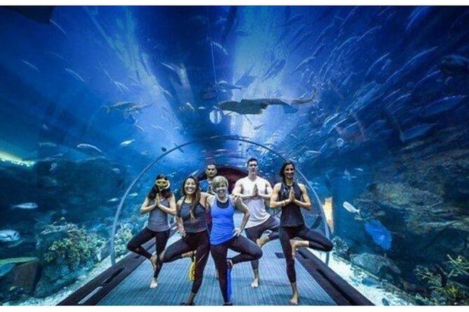 Dubai Mall Aquarium with Penguin Cove + Skyview Ticket - Inside the 10-million-litre Dubai Aquarium