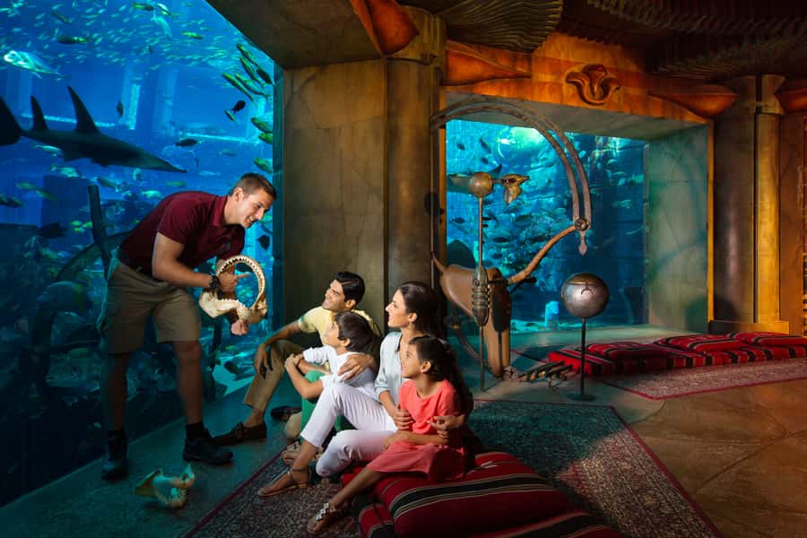 Dubai: The Lost Chambers Aquarium Atlantis Diving Experience - Key points to know before booking