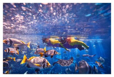 Dubai: The Lost Chambers Aquarium Snorkeling Experience