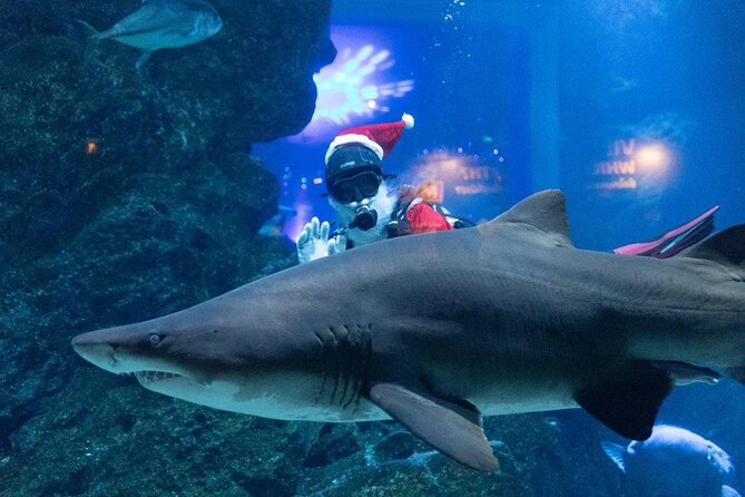 Duo SEA LIFE and Madame Tussauds Ticket in Bangkok - Why This Bangkok Combination Works